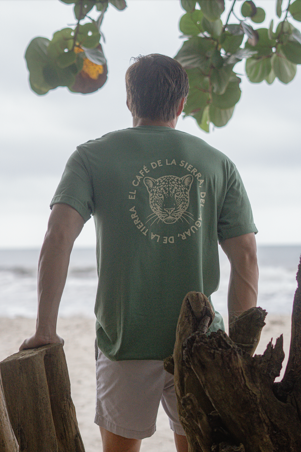 Brand T-Shirt Verde